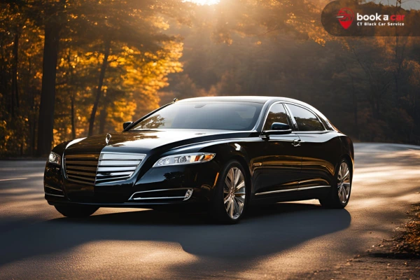 Car Service Trumbull CT To NYC